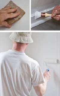 pintor la manga